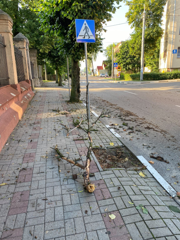Nawałnica w Lidzbarku – zniszczenia 29 lipca 2021