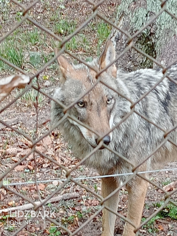 UTW Lidzbark na Podlasiu