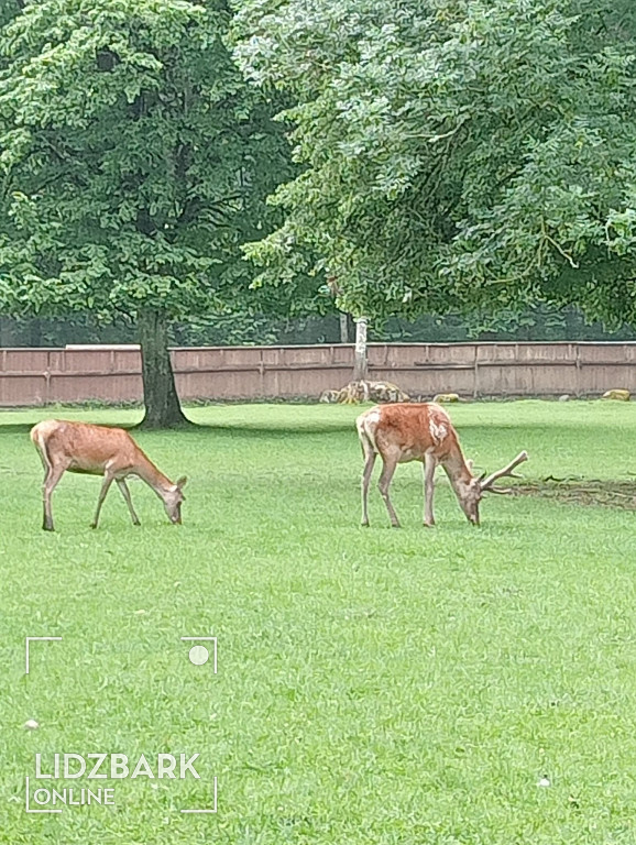 UTW Lidzbark na Podlasiu