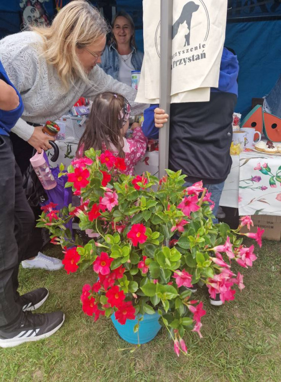 Psia Przystań - Festiwalu Swojskich Potraw Rybnych