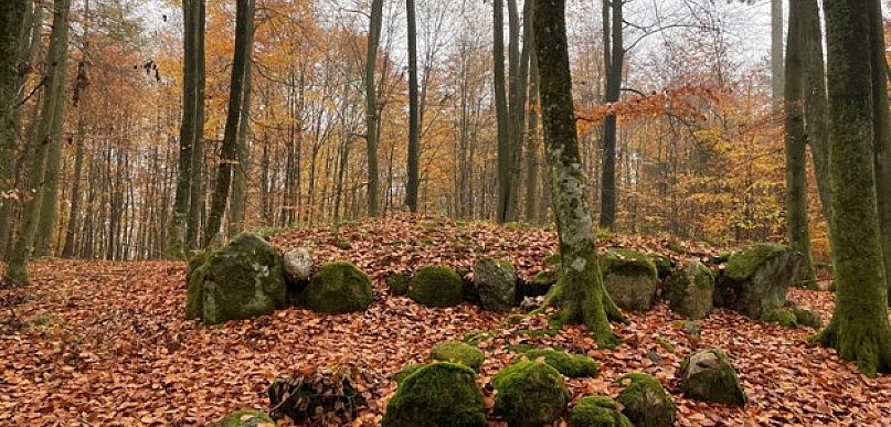 Kurhany  – tajemnice „grobów olbrzymów” między Wysoką a Gródkami