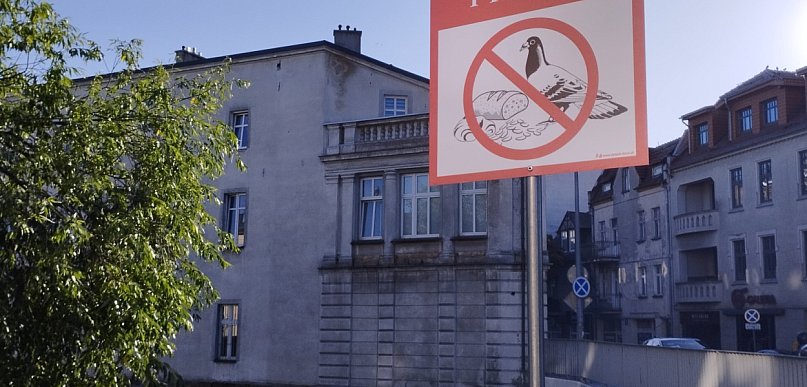 Zakaz dokarmiania ptaków w Brodnicy. Nowe tablice przy ul. Mostowej
