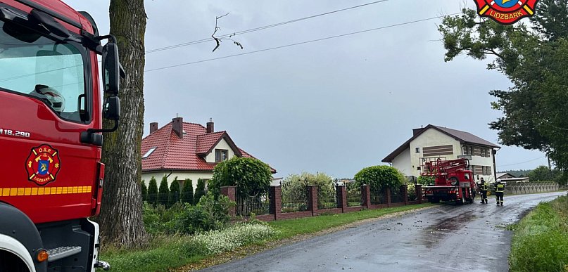 Gałąź na linii energetycznej w Ciborzu. Interweniowali strażacy z Lidzbarka